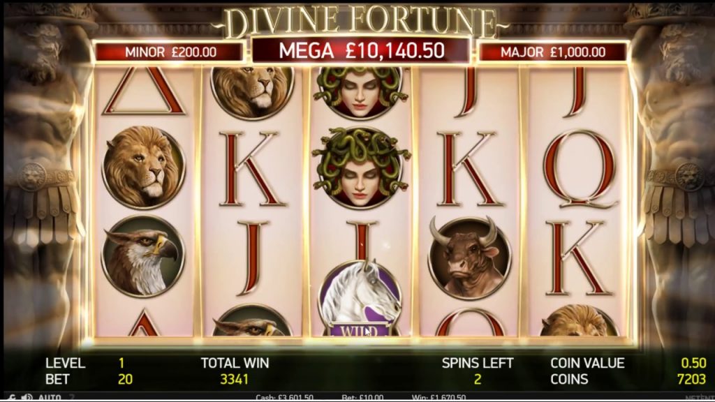 Casino kort info joy hundring