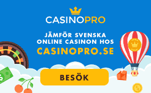 Casino utan spelpaus 12505